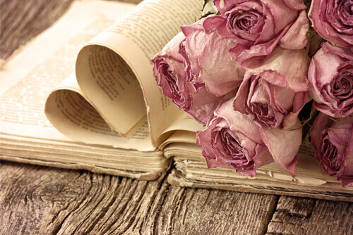 Libro-rose