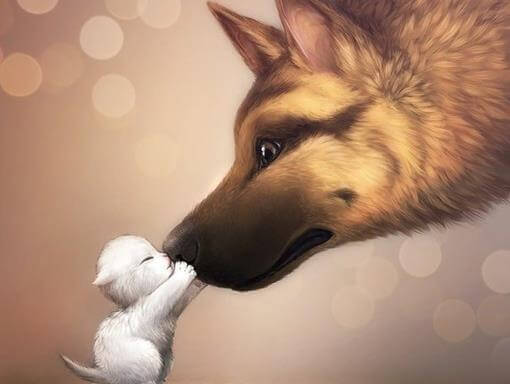 cane e gattino che si annusano