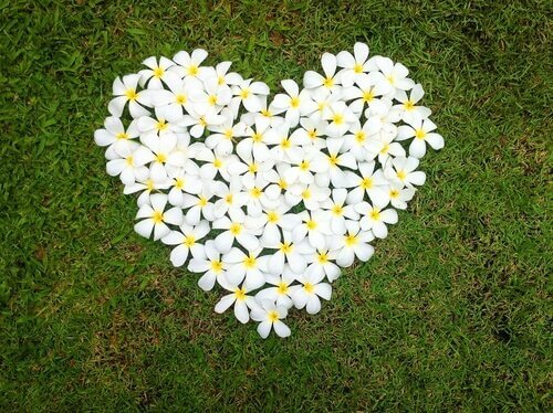 cuore-di-margherite