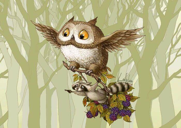 gufo che trasporta un procione