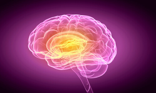 Anosognosia: incapacità di rendersi conto di avere un deficit