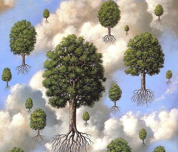 alberi con radici