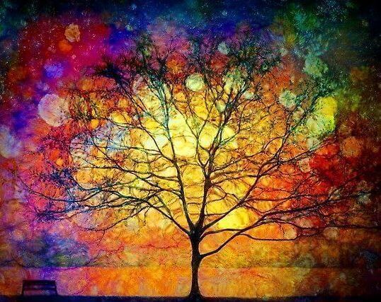 albero arcobaleno