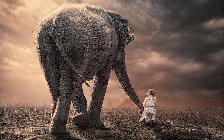 bambina-con-elefante