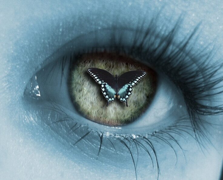 pupilla-farfalla
