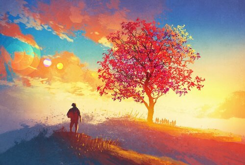 uomo e albero al tramonto