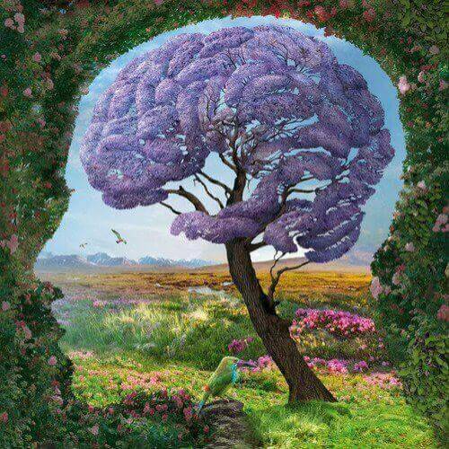 cervello e testa umana 