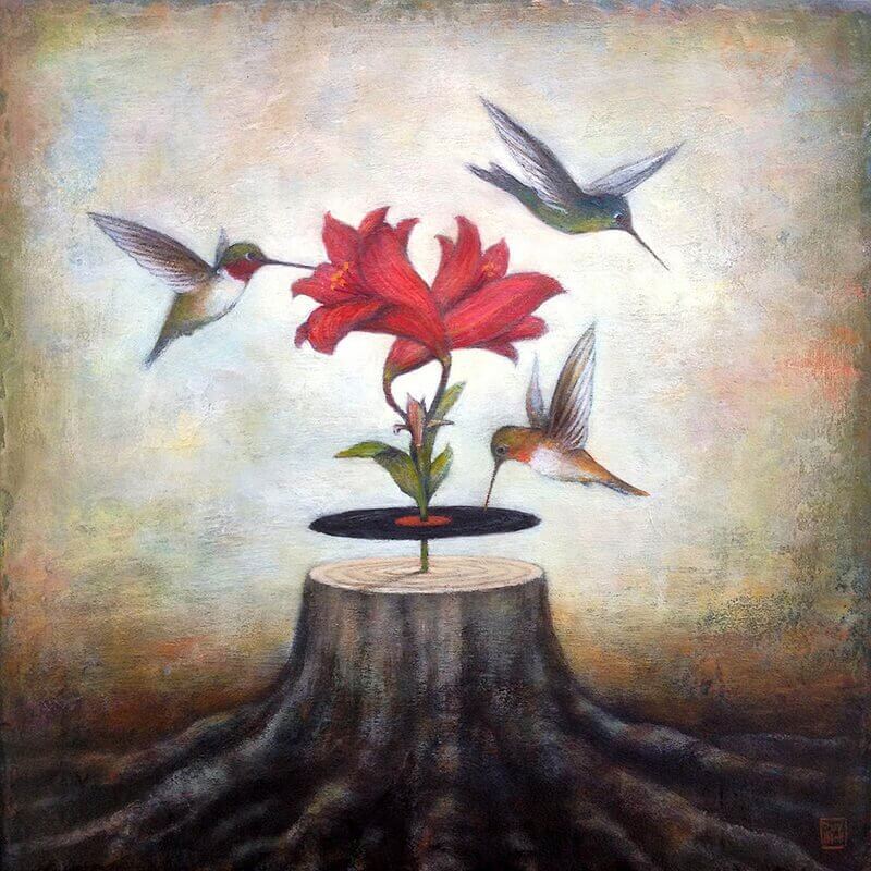 colibrì intorno ad un fiore