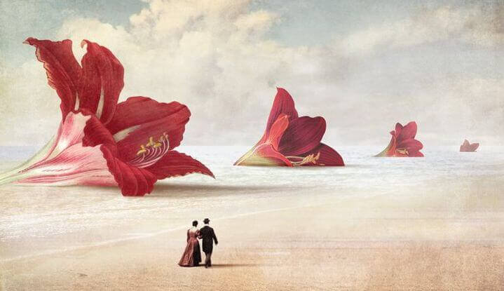 coppia cammina sulla spiaggia con gigli giganti
