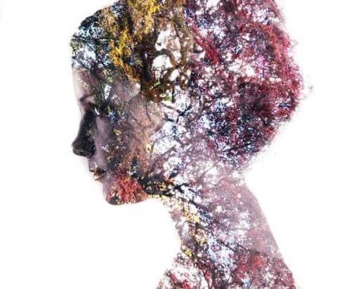 viso di donna fatto di rami