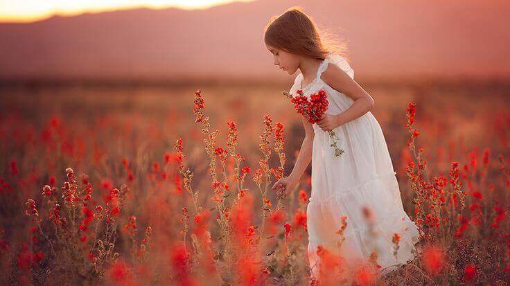 cicatrici bambina coglie fiori rossi in un campo