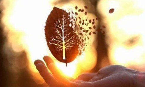 foglia-frammentata-e1456698360218