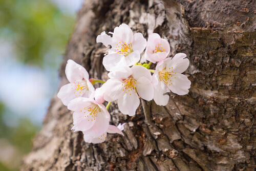 Cosa rende certe persone più resilienti di altre?