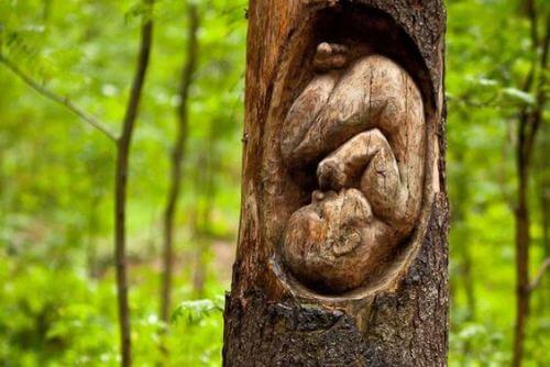 4 cose che impariamo prima di nascere