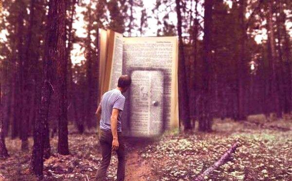 uomo davanti la porta di un libro gigante