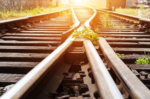 Sono io a scegliere le mie battaglie