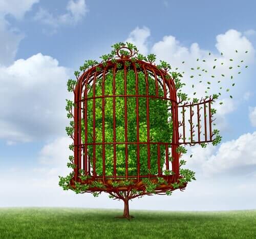 arbusto dentro una gabbia