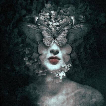 donna-volto-farfalle