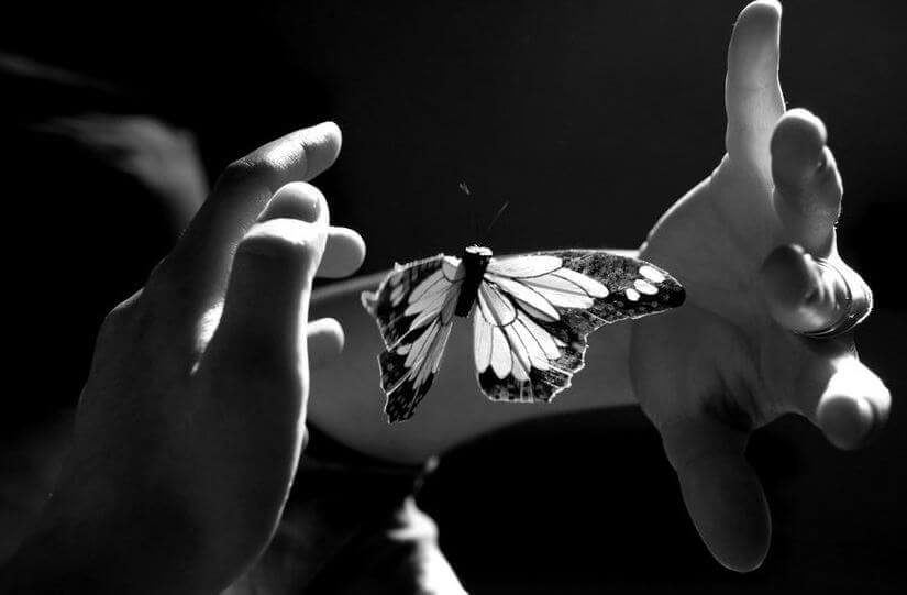 farfalla-tra-due-mani