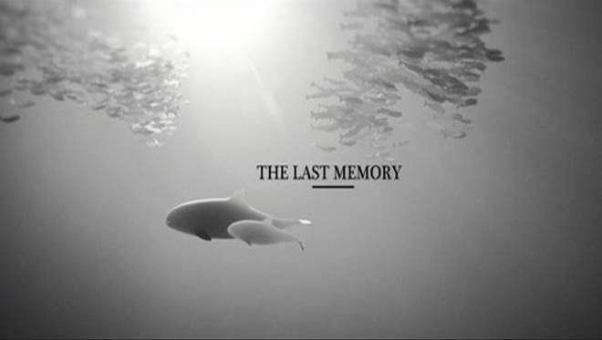 Un emozionante cortometraggio su una realtà da conoscere