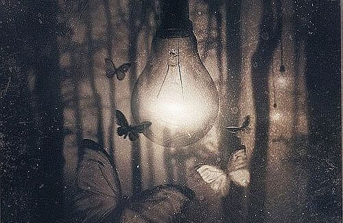 lampadina accesa di notte e farfalle