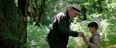 La-lingua-delle-farfalle