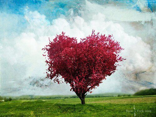 albero rosso a forma di cuore