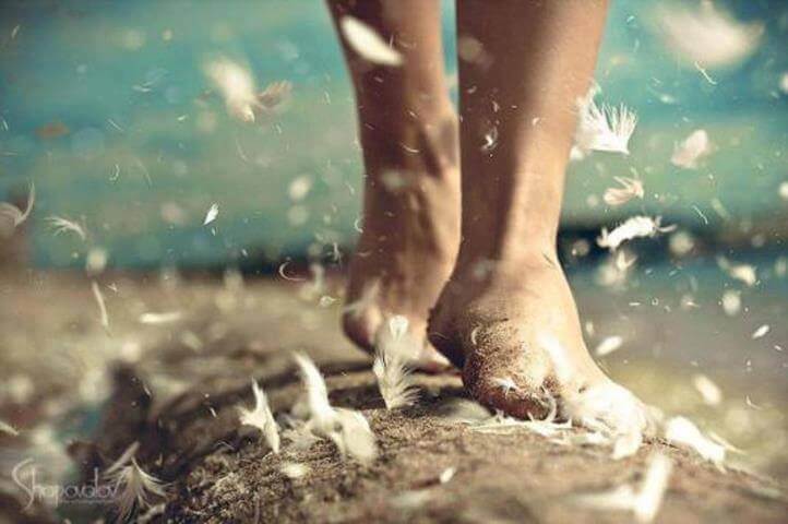 camminare piedi e piuma