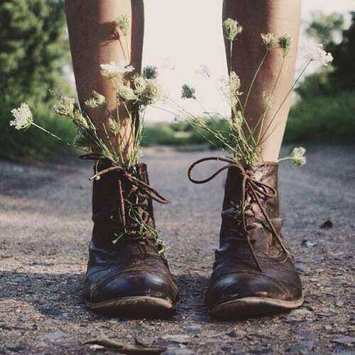 fiori che crescono nelle scarpe