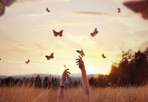 mani sfiorano farfalle nel cielo