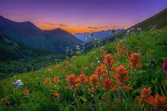 momenti-negativi-parete-floreale