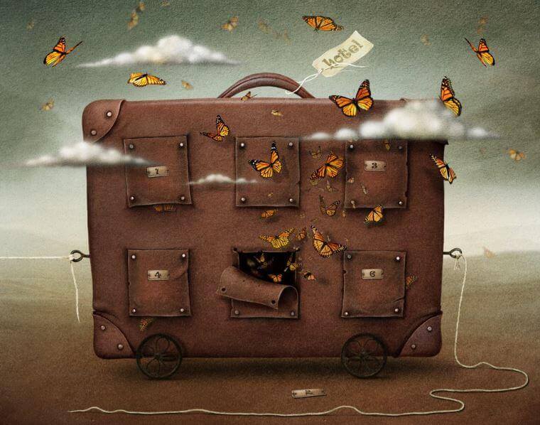valigia e farfalle