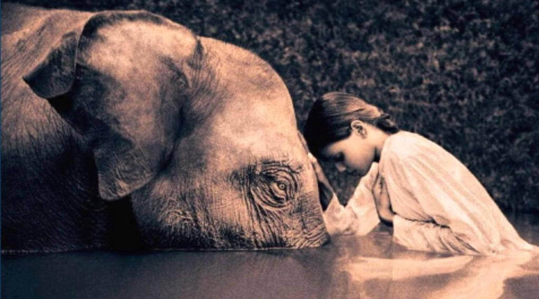 Le leggi del karma secondo il buddismo