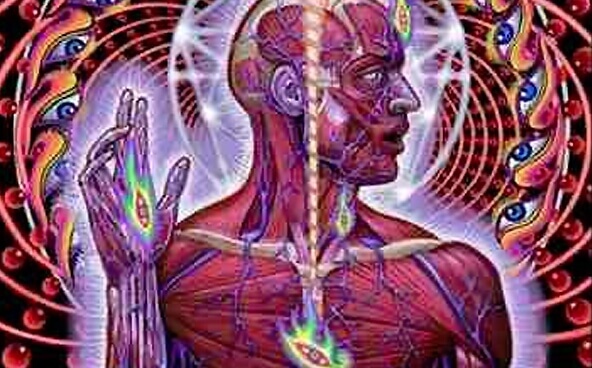 connessioni interne del corpo