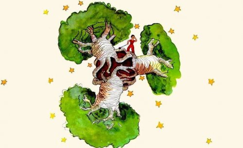 piccolo principe baobab