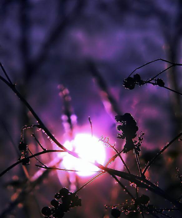 Viaggio verso l'introspezione