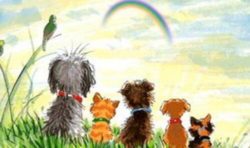 animali arcobaleno