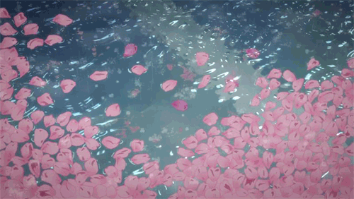 pioggia e petali rosa nell'acqua