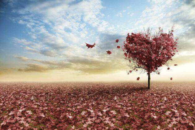 Tre riflessioni di Erich Fromm sull'amore