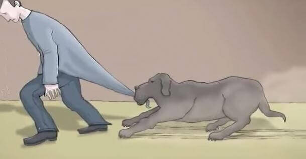 “Avevo un cane nero. Il suo nome era Depressione”: il cortometraggio che ci aiuta a capire questa malattia