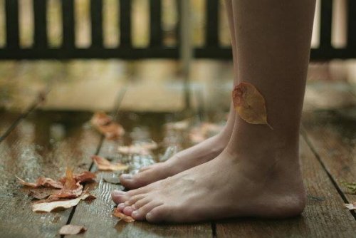 piedi e foglie secche