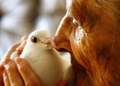 anziana con colomba bianca
