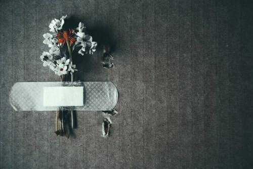 fiori-attaccati-alla-parete-con-un-cerotto