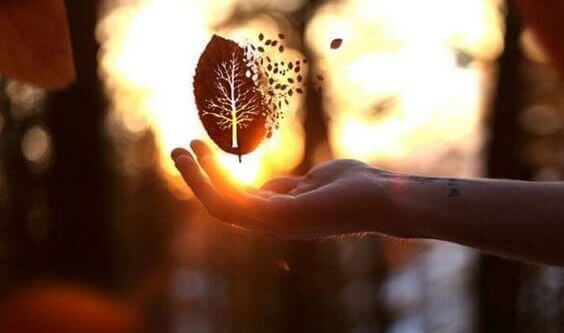 La miglior risposta alla cattiveria è una lezione di bontà