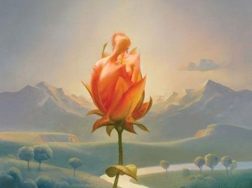 rosa-arancione-tra-i-monti