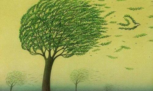 albero-mosso-dal-vento