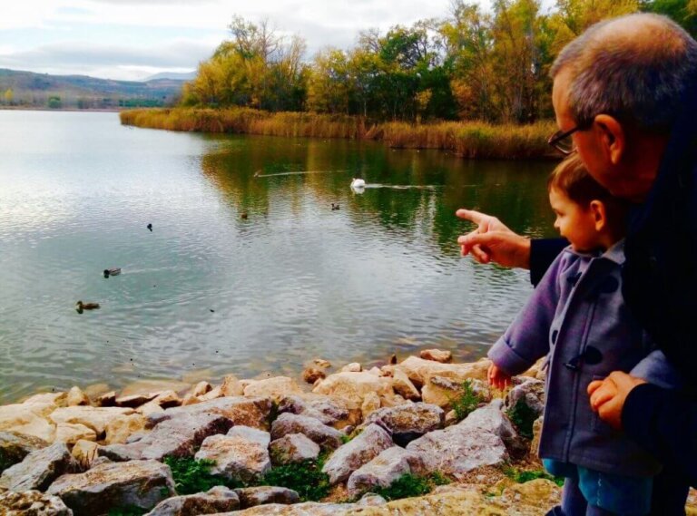 I meravigliosi nonni 3.0