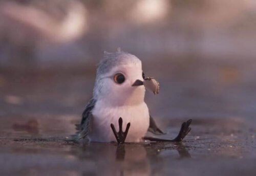 uccellino-sulla-sabbia-con-conghiglia-nel-becco