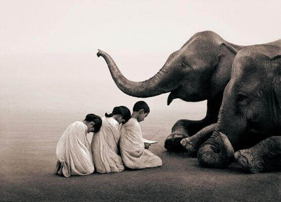 bambini-ed-elefante