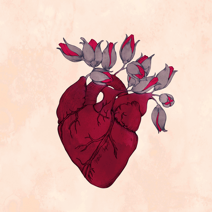 cuore-fiorisce